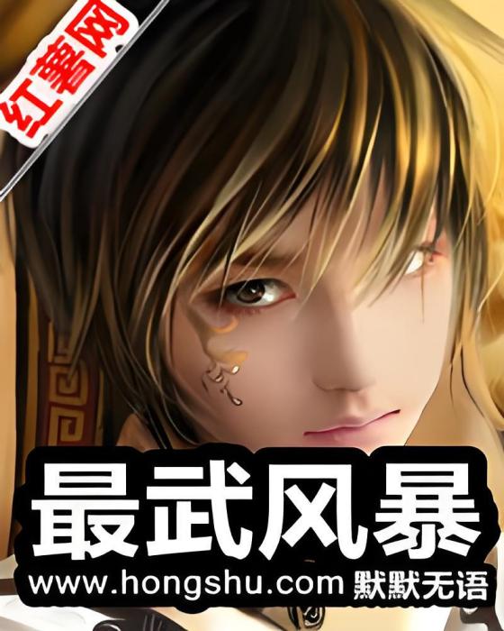 最武風暴 最武風暴