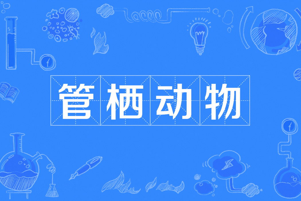 管棲動物 管棲動物