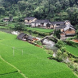長畛村(山西省沁水縣嘉峰鎮下轄村) 長畛村(山西省沁水縣嘉峰鎮下轄村)