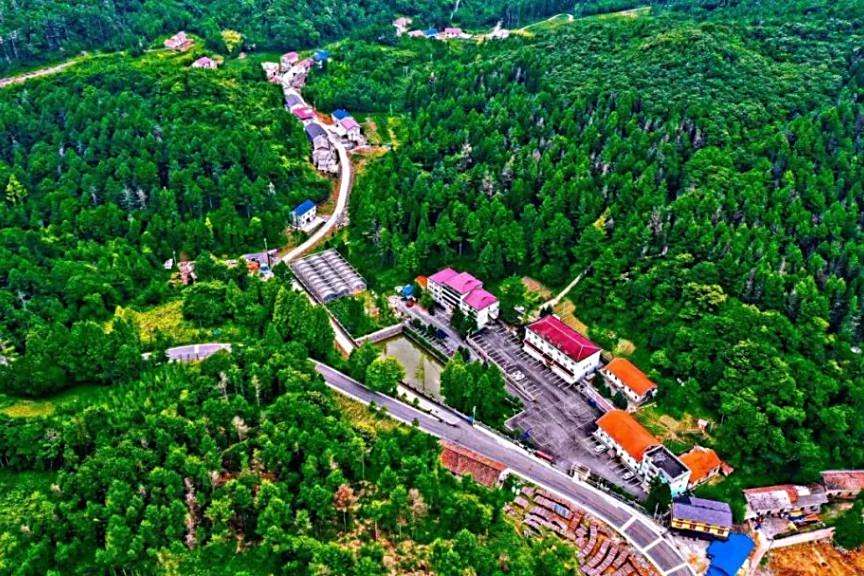 楂樹坪村 楂樹坪村