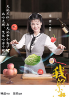 我的小姨(2016年顧晶執導電視劇)