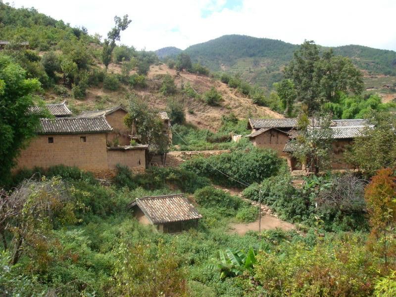 箐頭二組村 箐頭二組村