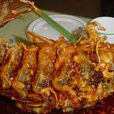 四孔鯉魚 四孔鯉魚