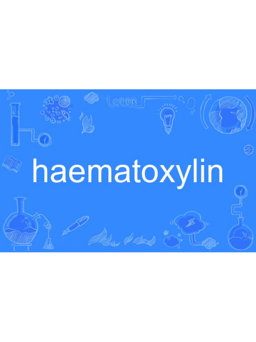 haematoxylin haematoxylin