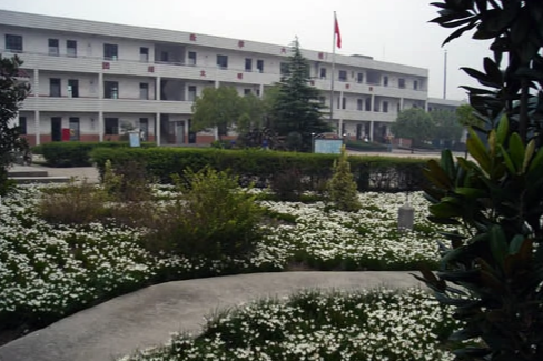 武山中學 武山中學