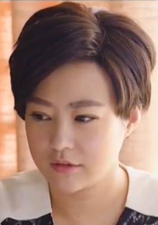 頭號前妻(2015年劉家成執導電視劇)