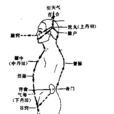 清竅 清竅