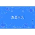 新壺中天(親吻指尖創作的玄幻小說) 新壺中天(親吻指尖創作的玄幻小說)