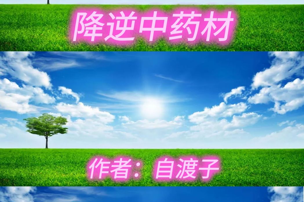 降逆中藥材 降逆中藥材