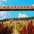 九龍山(山東省曲阜市九龍山) 九龍山(山東省曲阜市九龍山)