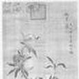 九壽圖 九壽圖