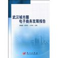 武漢城市圈電子商務發展報告