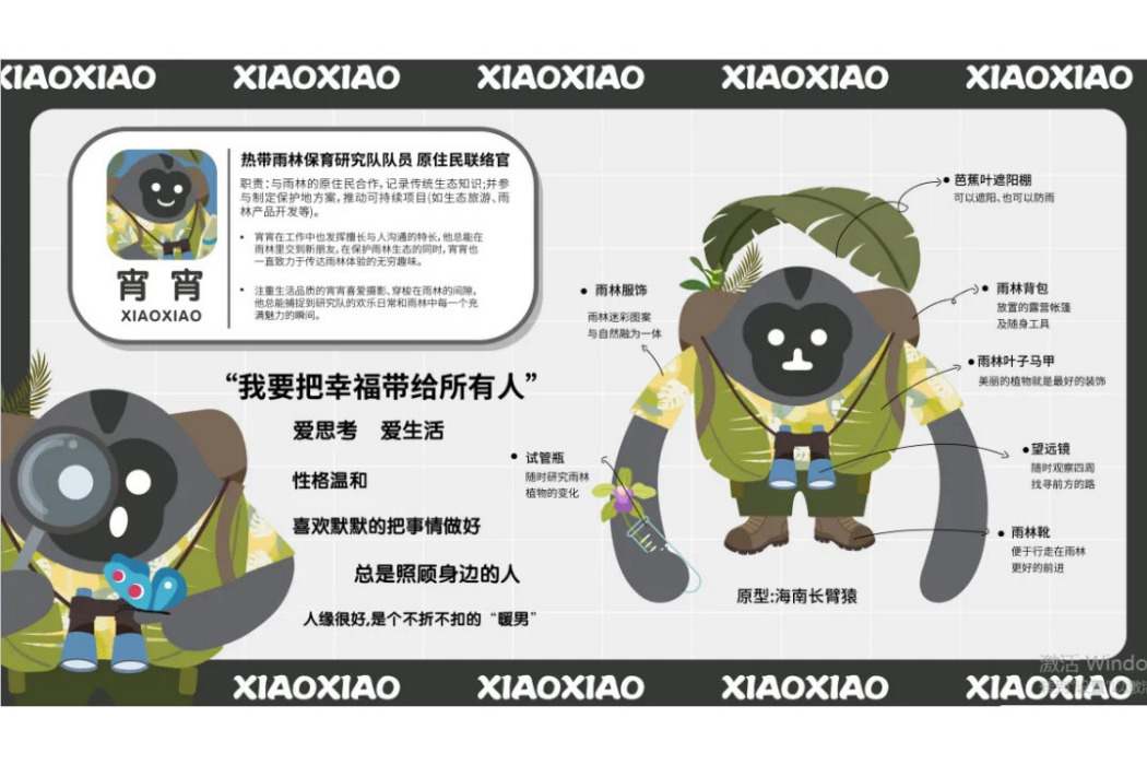 宵宵(第四屆中國國際消費品博覽會吉祥物) 宵宵(第四屆中國國際消費品博覽會吉祥物)