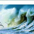 海燕(鄭振鐸著文章) 海燕(鄭振鐸著文章)