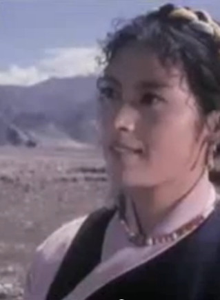 宋曉英(吉林籍女演員) 宋曉英(吉林籍女演員)