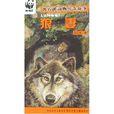 狼妻(沈石溪所著書籍) 狼妻(沈石溪所著書籍)