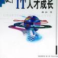 IT人才成長 IT人才成長