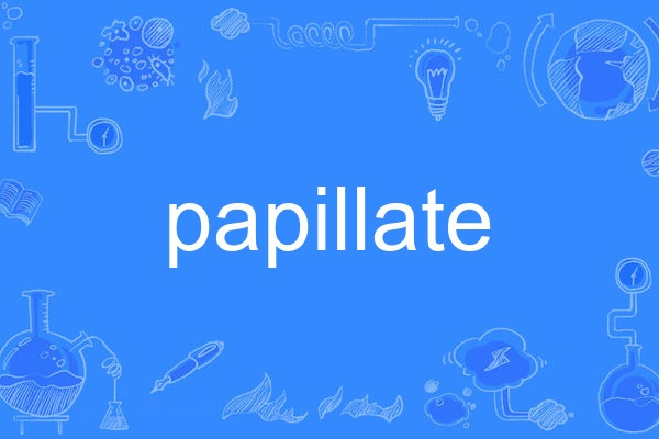 papillate papillate
