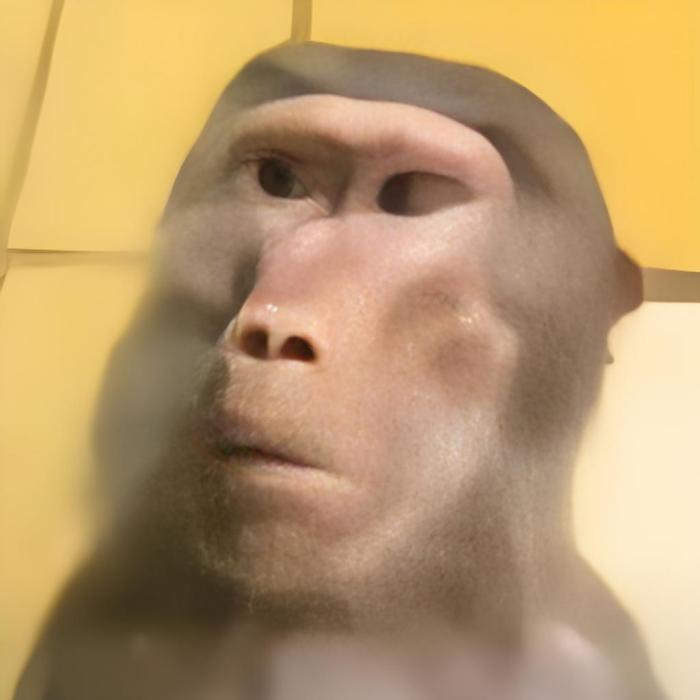私密嗎嘍 私密嗎嘍