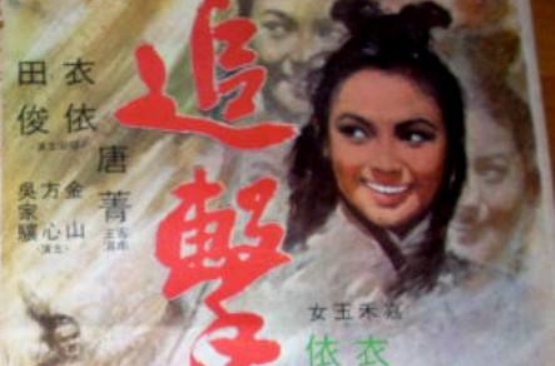 追擊(1971年王天林執導香港電影)