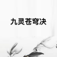 九靈蒼穹決 九靈蒼穹決
