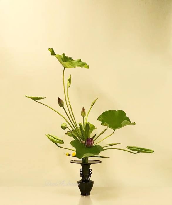 池坊花道 池坊花道