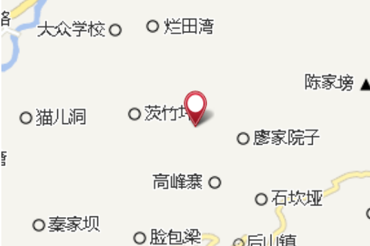 天順大隊 天順大隊