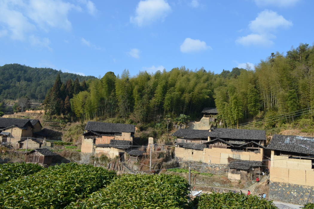 武濟村 武濟村