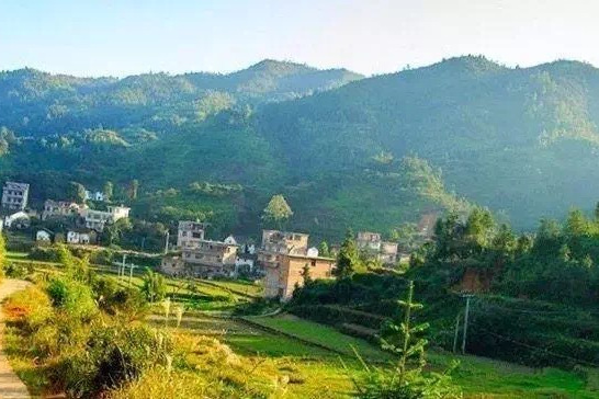 留龍村(江西省興國縣社富鄉下轄村) 留龍村(江西省興國縣社富鄉下轄村)
