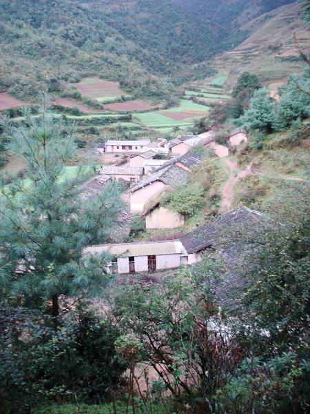 雙豐口村 雙豐口村