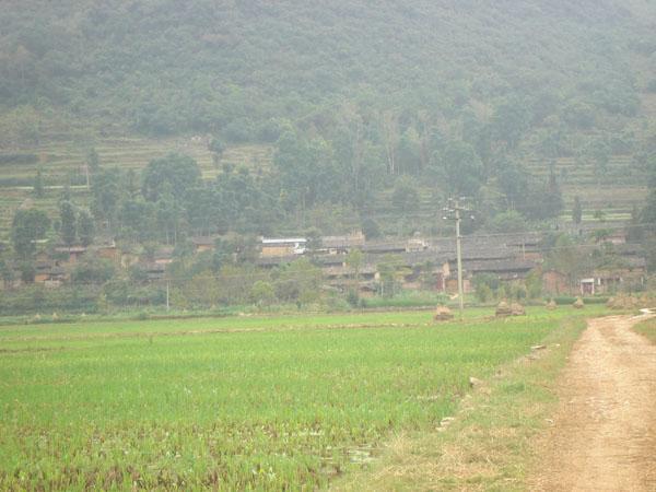 顏家寨村 顏家寨村