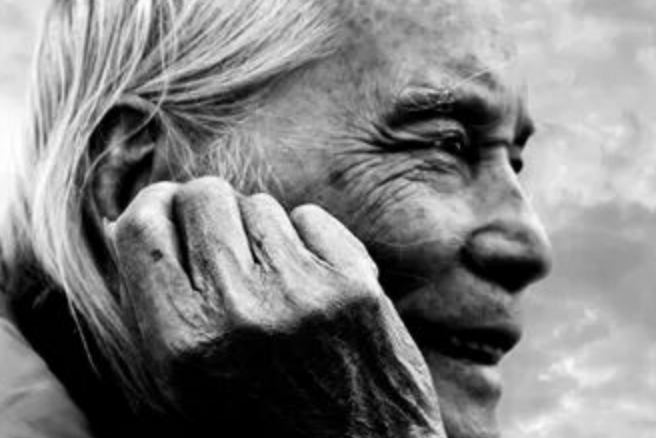 蔡瑜(藝術家) 蔡瑜(藝術家)