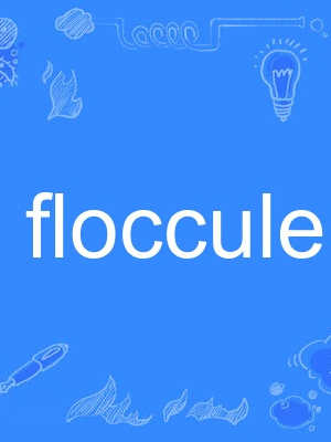 floccule floccule
