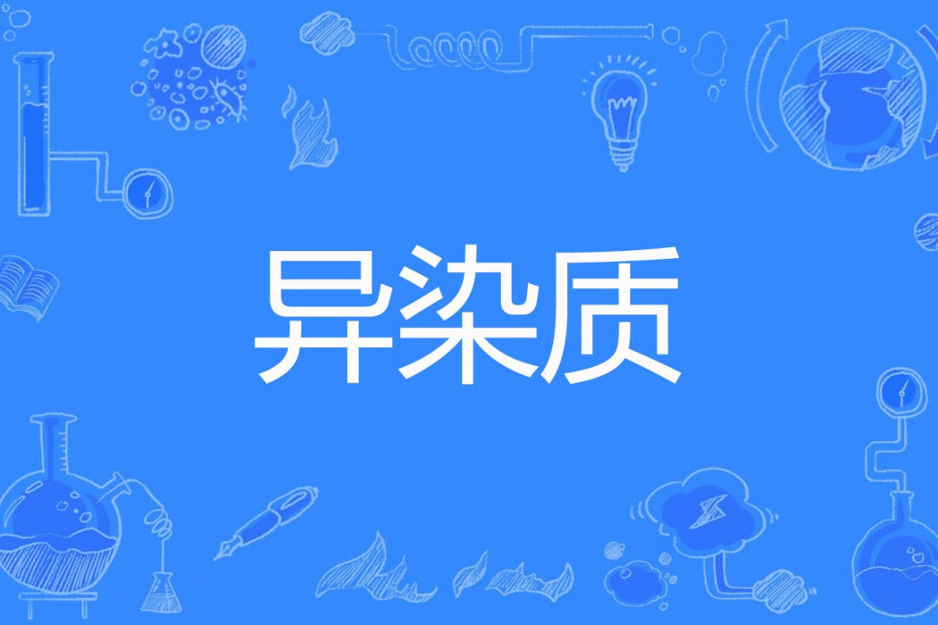 異染質 異染質