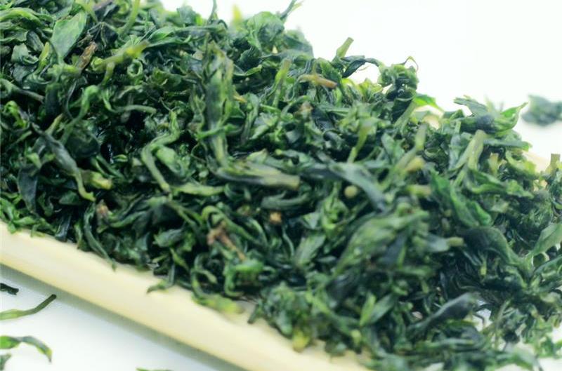 毛冬青茶
