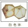白色體 白色體