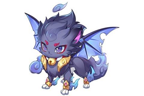 混沌喵喵 混沌喵喵
