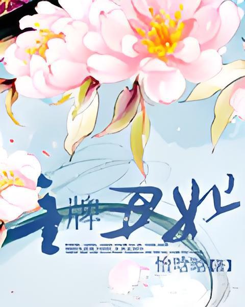 金牌醜妃 金牌醜妃