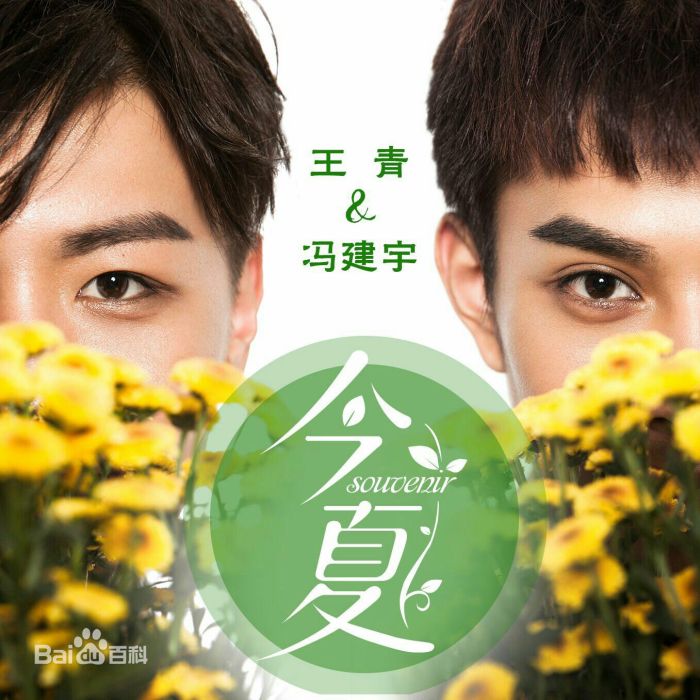 今夏(2015年王青、馮建宇主演微電影) 今夏(2015年王青、馮建宇主演微電影)