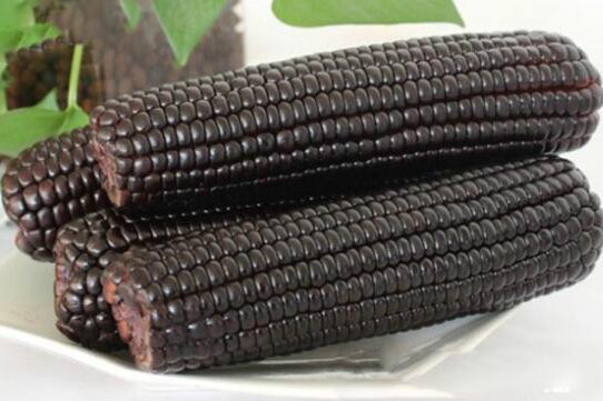 黑糯3號 黑糯3號