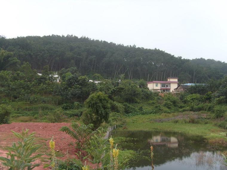 園藝廠村 園藝廠村