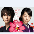 粉紅系男孩(乙男(2009年日本谷村政樹執導電視劇)) 粉紅系男孩(乙男(2009年日本谷村政樹執導電視劇))