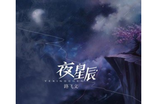 夜星辰 夜星辰