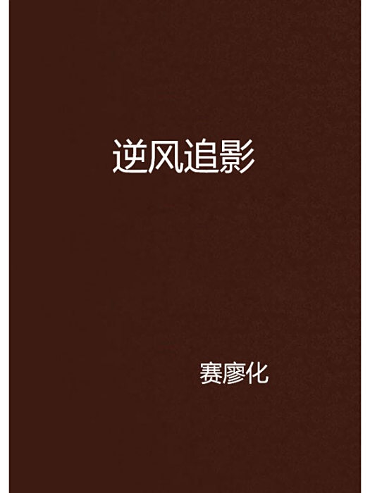 逆風追影 逆風追影