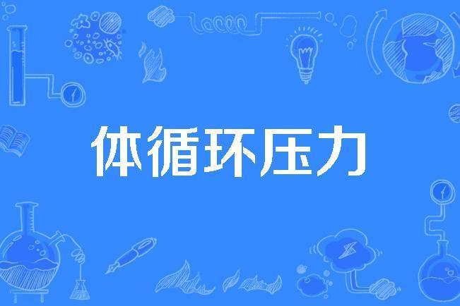 體循環壓力 體循環壓力