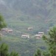 耍樹子村 耍樹子村