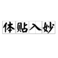 體貼入妙 體貼入妙