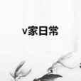 v家日常 v家日常