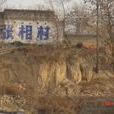 張相村(邢台市南和縣河郭鄉下轄村) 張相村(邢台市南和縣河郭鄉下轄村)