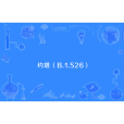 約塔(新冠病毒變異毒株) 約塔(新冠病毒變異毒株)